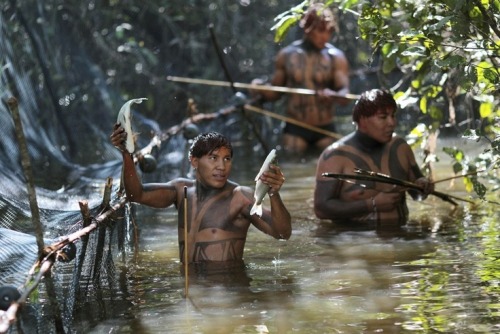 mvtionl3ss:   Yawalapiti tribe living traditionally in the Amazonian jungle of Brazil