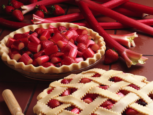 food-everybody-loves:   Click here to see more 