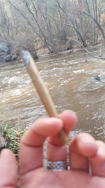 Porn Pics dabakin-cloudblower:  Blunt by the river🏞