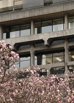 scavengedluxury:  Brutalism and blooms. Kings College, London. February 2016.  