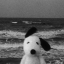 animaliena