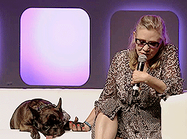 Stay Afraid, But Do It Anyway Happy Birthday Carrie Frances Fisher 10.21.1956