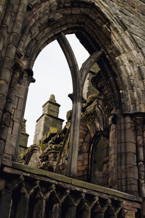 Porn photo Eeerie and still, the bones of Holyrood Abbey,