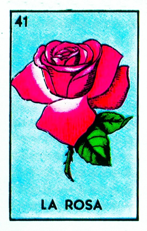 lonequixote:  La Rosa 