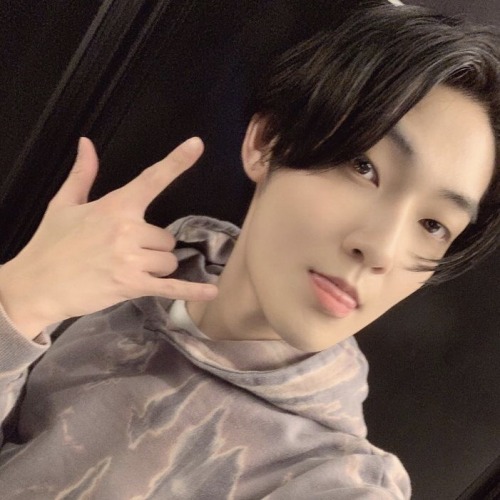 () MOON SELCA ICONS