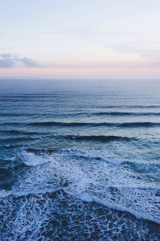 Kingdom Of The Ocean