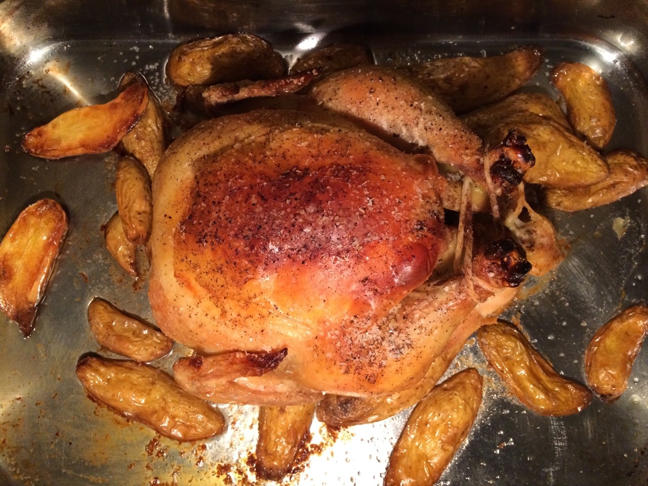 Roast chicken upon fingerling potatoes
Roasting a chicken is easy but I’m beginning to appreciate it more as a way to prep for upcoming meals. This was a bland bird but the potatoes roasting in the rendered fat were spectacular.