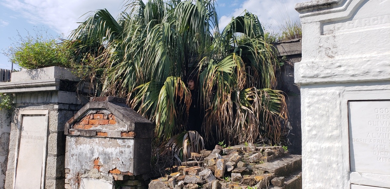 Bonnie Ramone submitted this photo with the comment “I recently visited New Orleans for the first time. Excited to climb a tree in their legendary cemeteries, I was disappointed to have to visit during the day, and found shade where I could. I know...