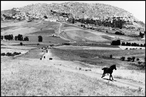  Leonard Freed ITALY. Sicily. 1974. 