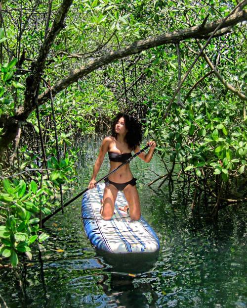 Mangrove Tour Tour en el Manglar con mi gente de @icmadventures #Panama#travelpanama#visitpanama#pad