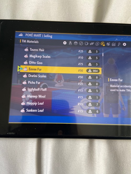 ???? WHO THE FUCK HAS BEEN SHAVING THEIR EEVEE AND PUTTING THE FUR IN MY BAG