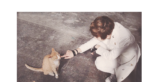 cheolyans:  Baekyeol touching Kittie’s nose 