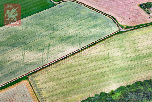 copperbadge: Crop circles? Nope – cropmarks. Incredibly hot, dry weather across Wales this sum