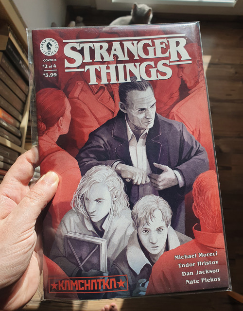  A variant cover for Stranger Things: Kamchatka #2 I’ve done a while ago. My copies arrived to