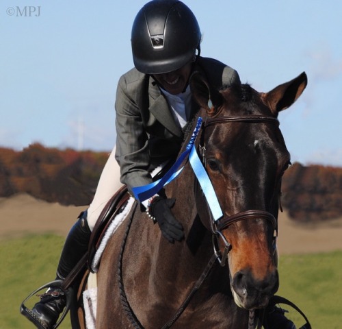 equitation