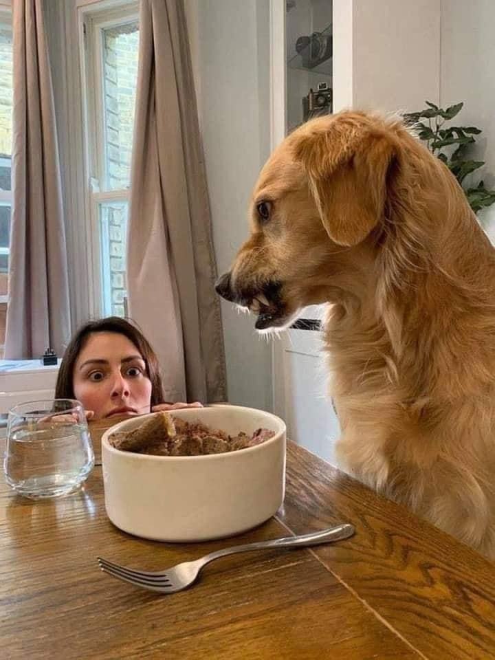 I Am Miam Miam I Am Miam Miam