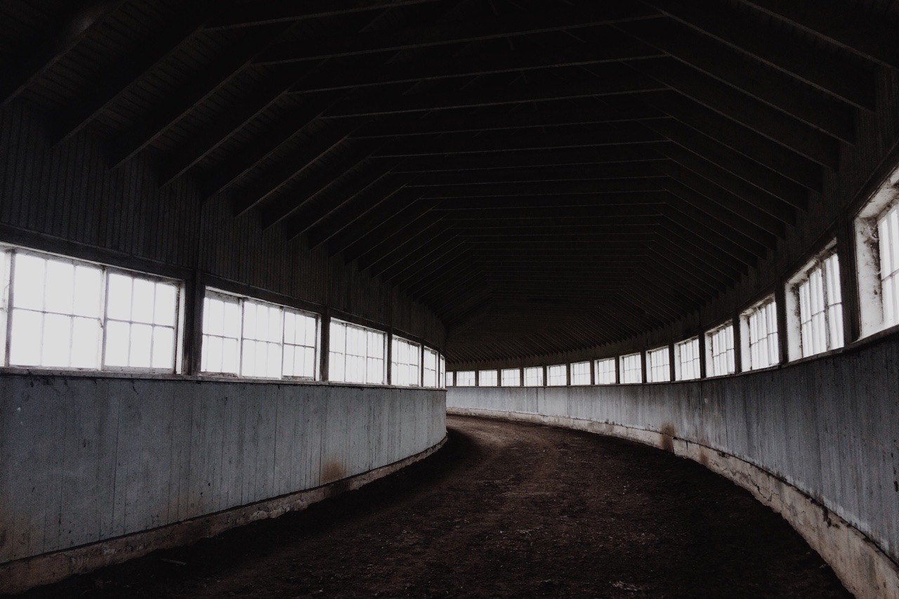 kellyelainesmith:  A day of exploring is a day well-spent. nj, september 2015. kelly