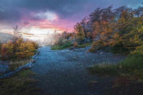 Nature, Part 3. 