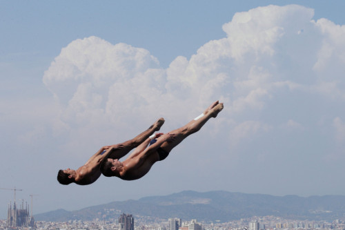 highkeygay:  rommel pacheco, jahir ocampofina world championships, diving