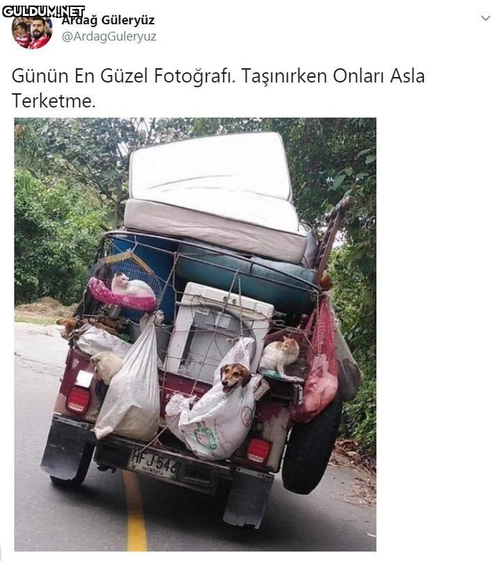 Ardağ Güleryüz...