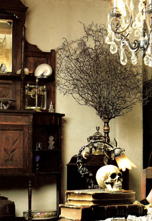 blackchantilly:  How to Create a Classy Halloween (photo credits listed in post) 