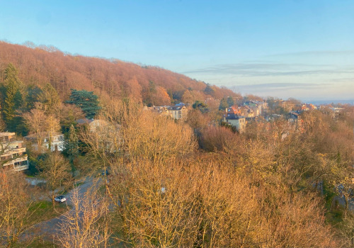 Also Finally I Have A Picture Of My Window View For Every Season.