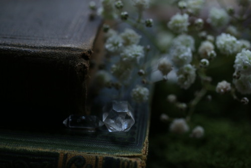 Flowers and gemstones from that time when I took photos for my shop update tumblr | Instagram | Etsy