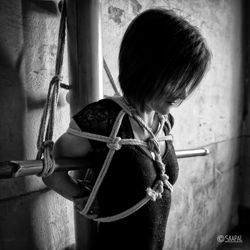 acordesetacris:  Shibari