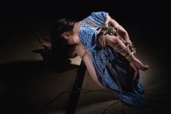 knbk-shibari: Ropes and picture by us knbk-shibari.tumblr.com