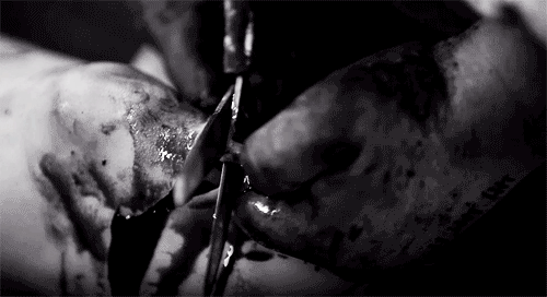 queenofgore:  The Human Centipede: Full Sequence.  Follow for more blood and gore.