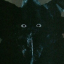 yourtulpa