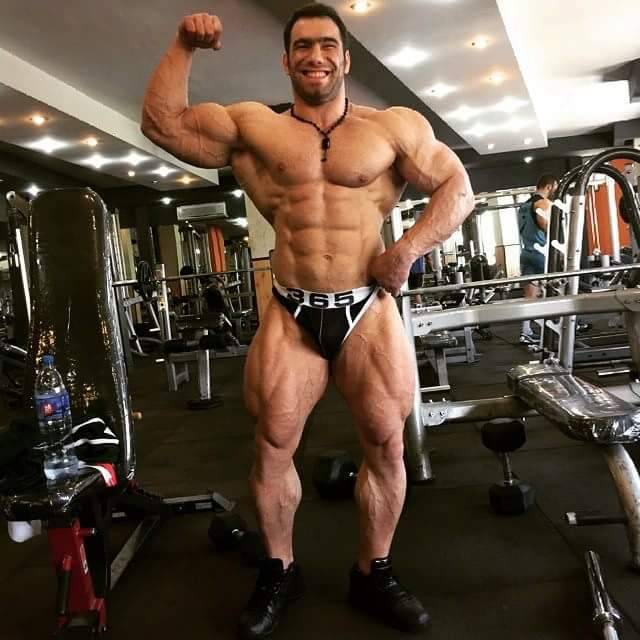 nicemusclemen:Ayat Bagheri