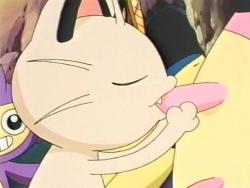 merasmus:  remember that episode where meowth