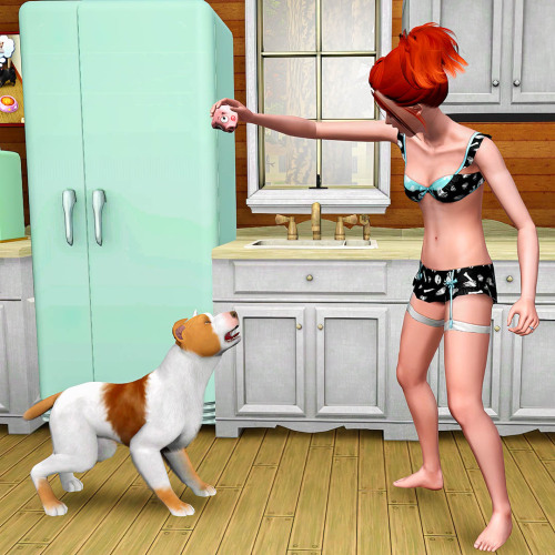 sims 3 gameplay