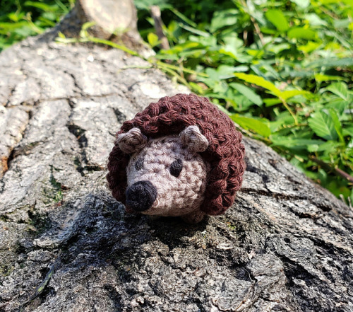 ericacrochets:Humphrey the Hedgie by Maple KnitsFree Crochet Pattern Here