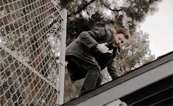 GifSet Cameron Monaghan In Shameless 5x10 (1).