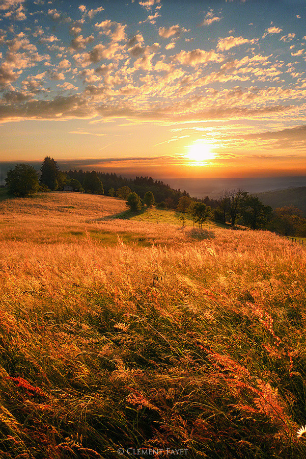 mistymorningme:  (via 500px / Summer is Here by Clement Fayet)   15/12/13