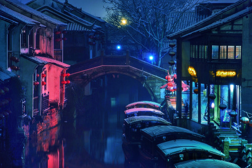 fuckyeahchinesegarden:Suzhou. Photo by 王剑 