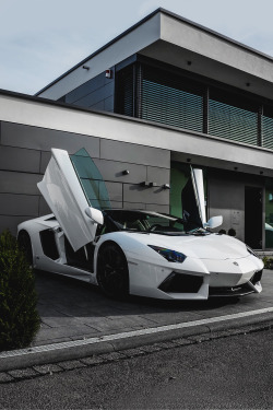 wearevanity:  Aventador Roadster