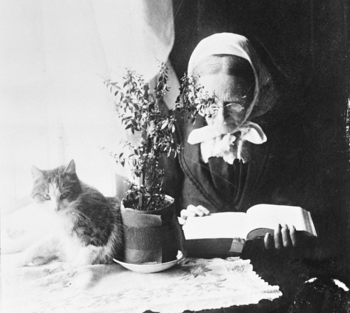 Black and white phot of an elderly white woman with a white scarf tied over her hair, leaning forward to read a large hardcover book on the table in front of her. Also on the table are a potted plant and a shorthaired white and ginger tabby which looks up at the camera.