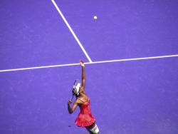 wrotten:  April 2010 — Sony Ericsson Open,