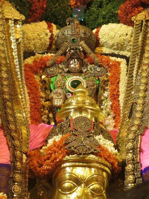 Sri Malayappa Swami (Venkateshvara utsava murthi) on Garuda, Tirumala