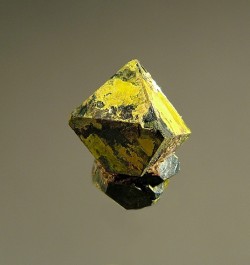 themineralogist:  Uraninite, Uranophane (by Fred E. Davis) A cluster of seven crystals (four visible in photo) of Uraninite with a yellow Uranophane coating 