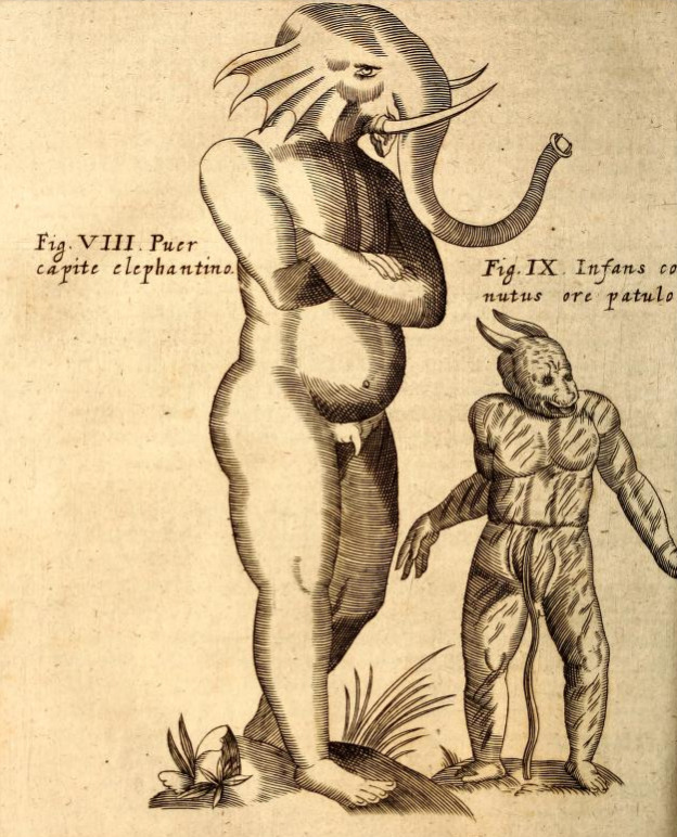 magictransistor:Gaspar Schott. Physica Curiosa, Mirabilia Naturæ et Artis. 1662. 