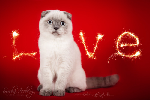 simba-iceberg:Together with the charming model Flo we want to congratulate you on Valentine’s Day!Lo
