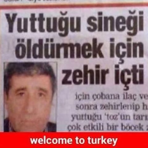 Yuttuğu sineği öldürmek...