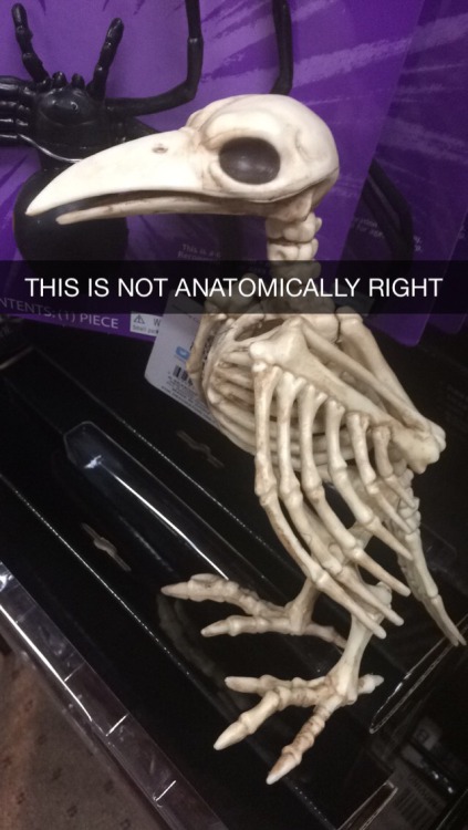 thefingerfuckingfemalefury:  ayellowbirds:  sorceringing:  the-vegan-muser:  The scariest part of Halloween is how anatomically incorrect these decorations are.  cyan-biologist  listen, sometimes necromancers get bored, and there’s always lots of little