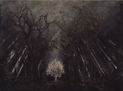 pankurios-templeovarts:Wonderlands by Clay Witt.