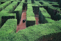 grett:  lost in the labyrinth by A manda* on Flickr.lost in the labyrinth