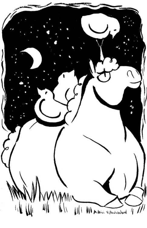 This is a story of a chubby unicorn named Bekim, he’s lazy, smart and loves warm starry nights. His 